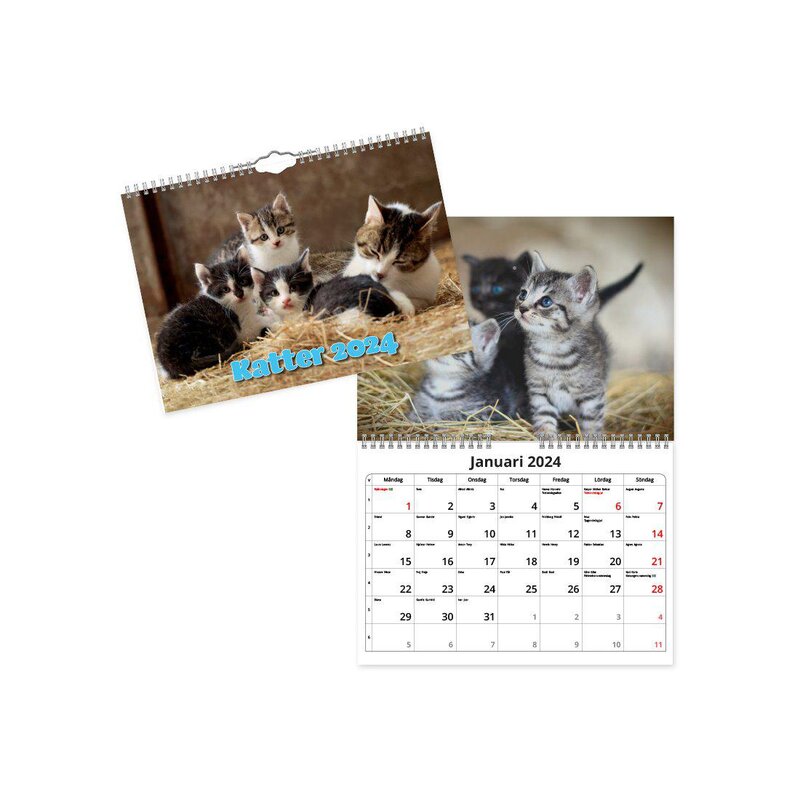 Väggkalender Katter Small 2024