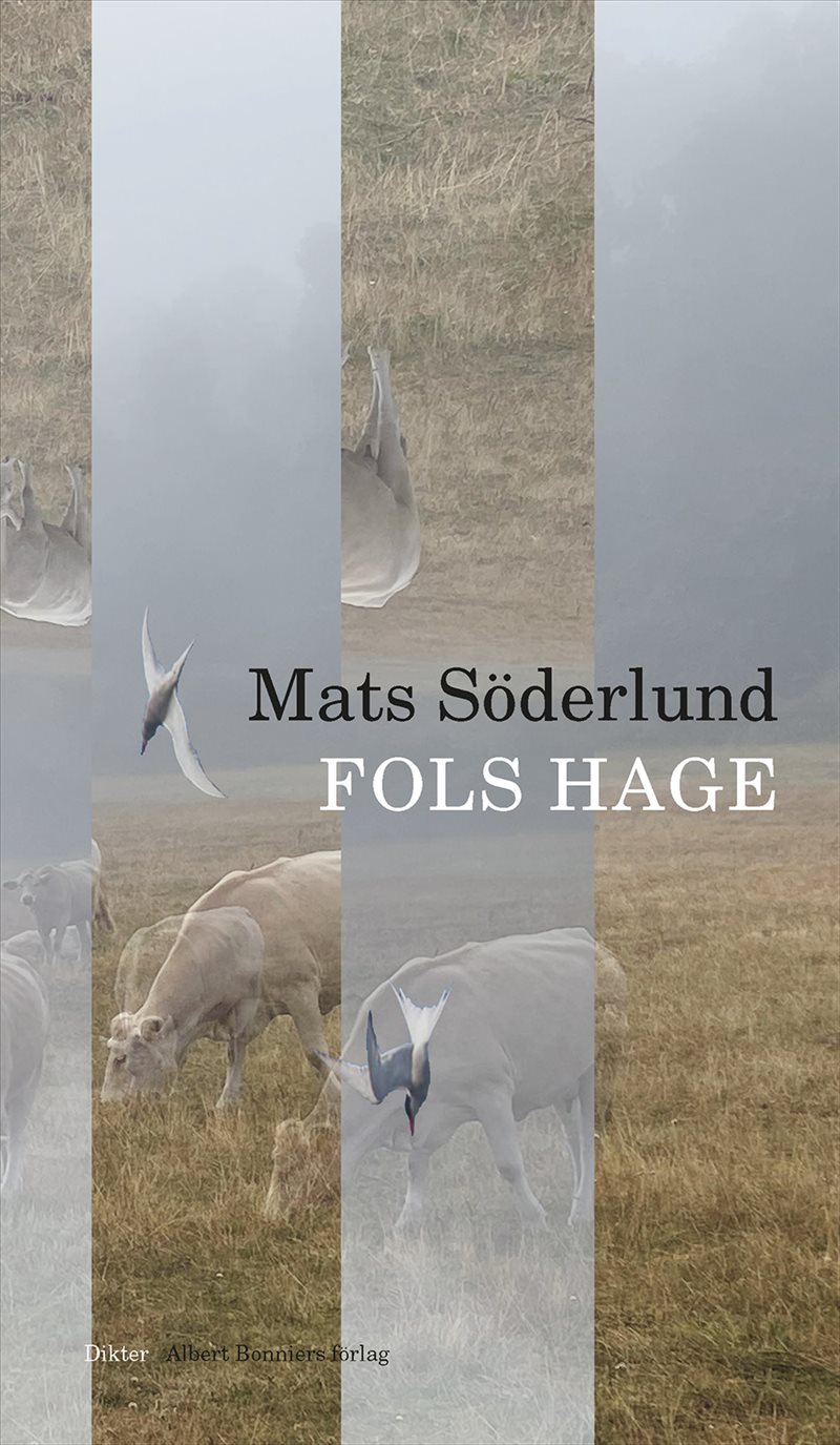 Fols hage