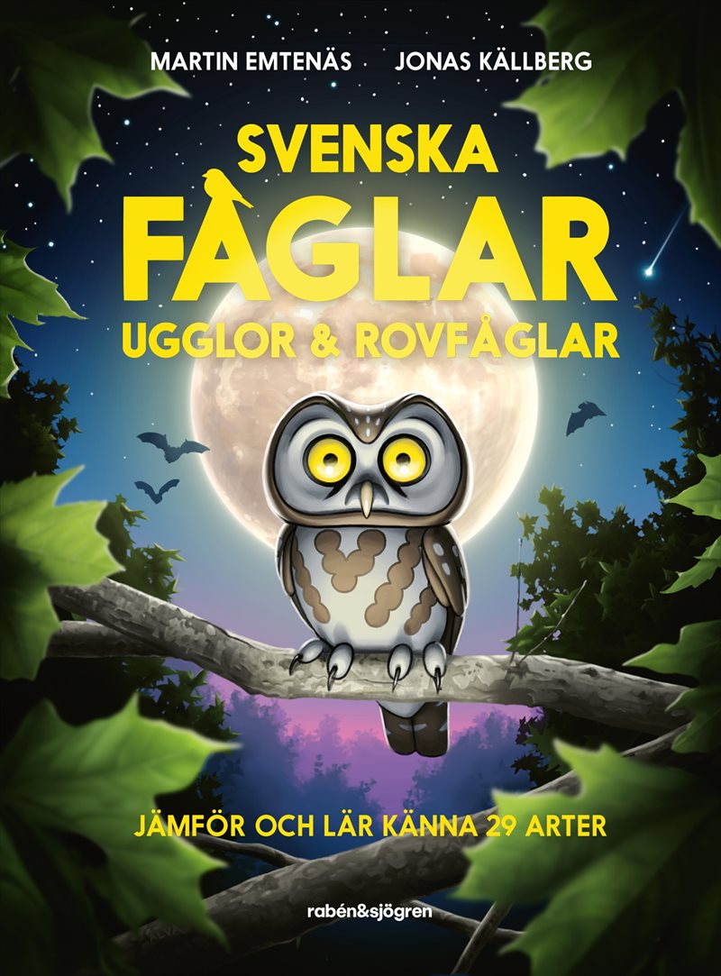 Svenska fåglar : ugglor och rovfåglar : jämför och lär känna 29 arter