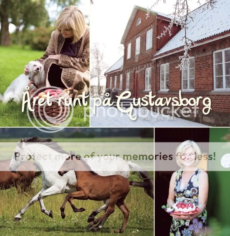 Året runt på Gustavsborg : ett liv med hästar och god mat