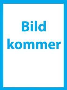 Den fjärde trimestern