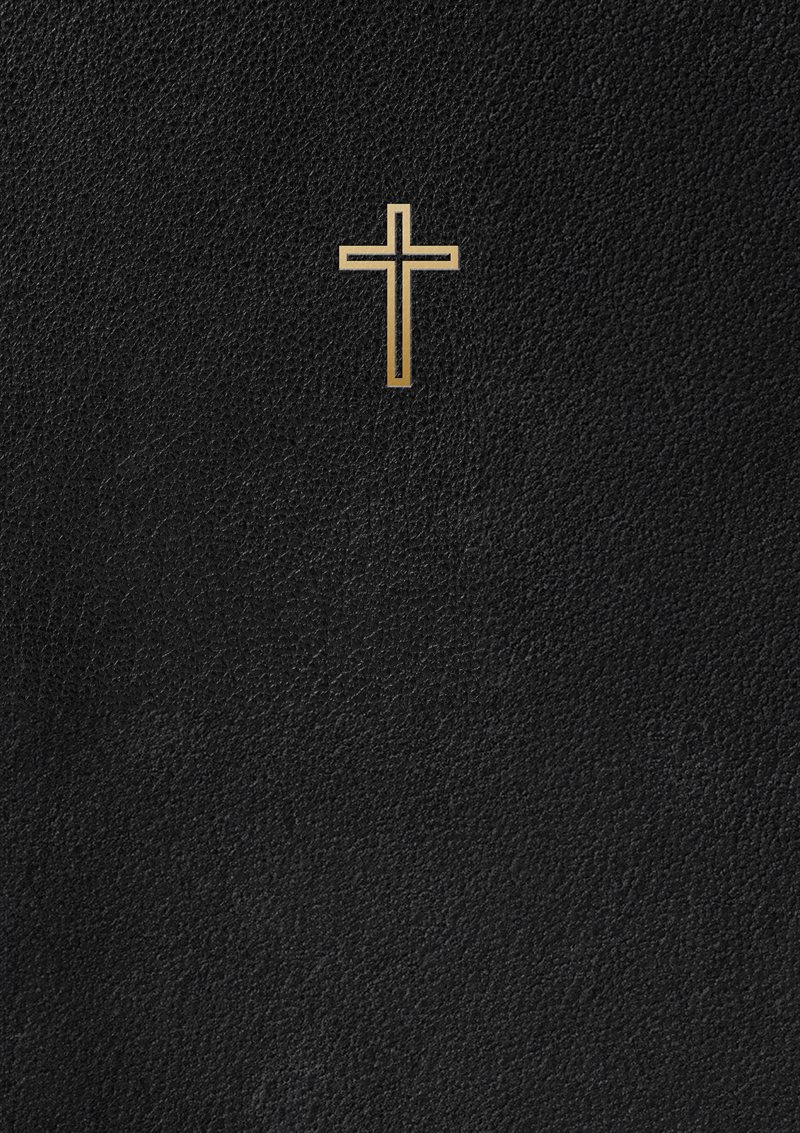 Svenska Folkbibeln 2015 : Slimline Svart läder