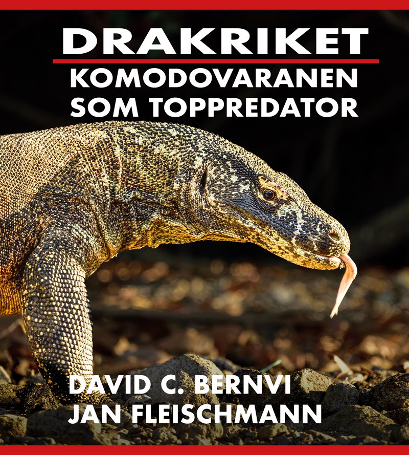 Drakriket : komodovaranen som toppredator