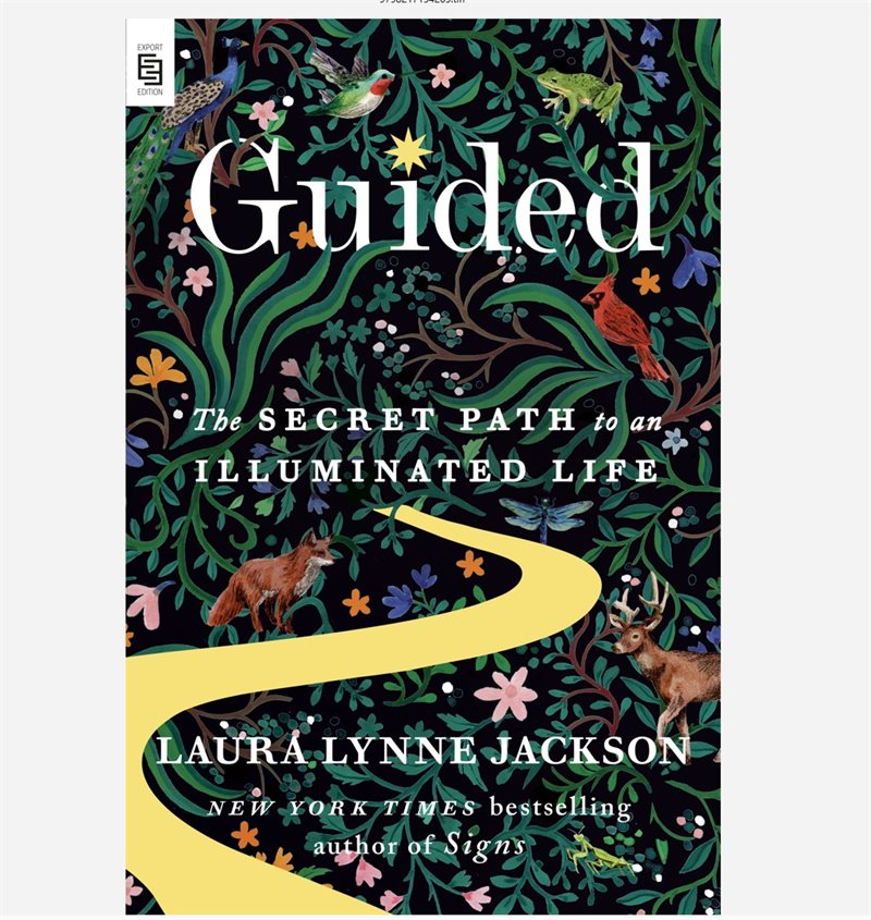 Guided: The Secret Path to an Illuminated Life