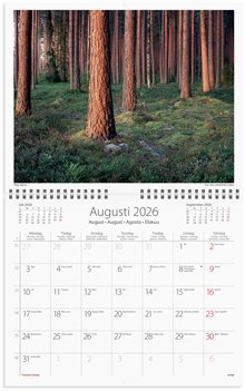Väggkalender 2026 Vår vackra skog