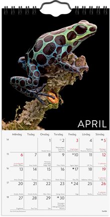 Väggkalender 2026 Wild animals