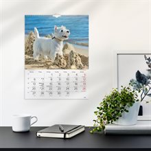 Väggkalender 2026 Stora Hundkalendern
