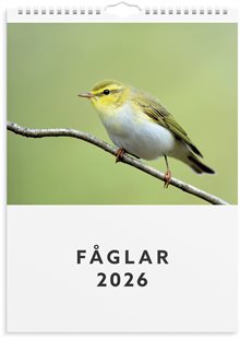Väggkalender 2026 Fåglar