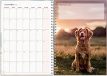 Kalender 2023 Hundkalendern