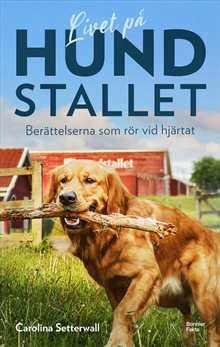 Livet på Hundstallet : berättelserna som rör vid hjärtat