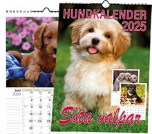 Hundkalender 2025